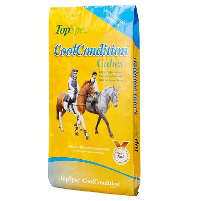 TopSpec CoolCondition Cubes 20kg