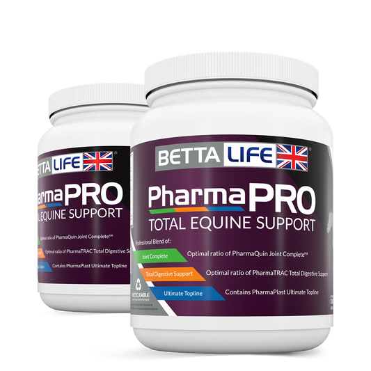 BETTAlife PharmaPro Total Equine Support