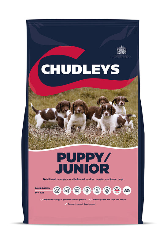 Chudleys Puppy/Junior