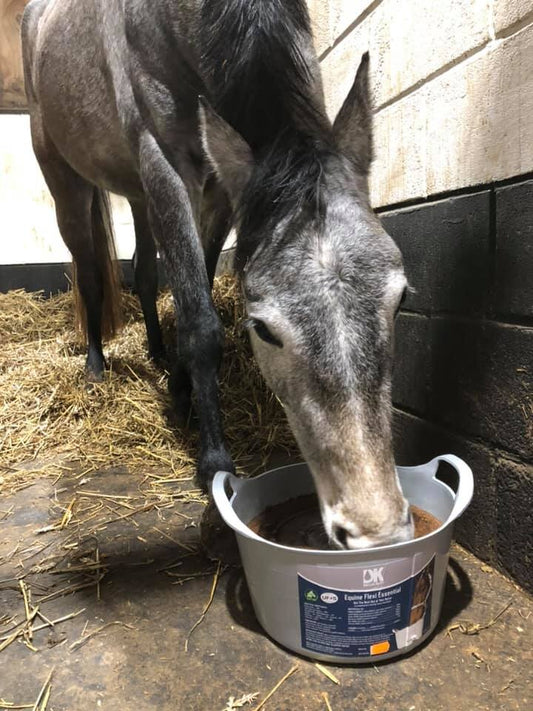 DK Equine Flexi Tub Feed Essential