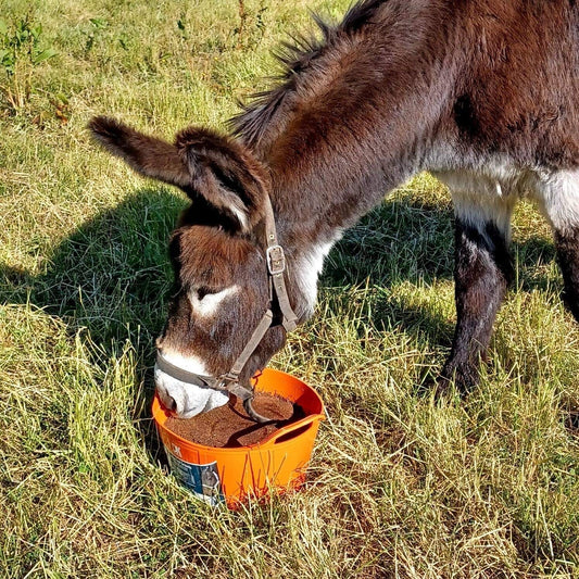 DK Equine Flexi Tub Turmeric 12.5kg