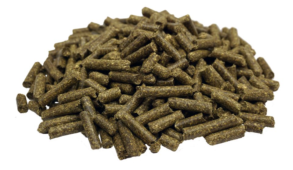 Simple System Sainfoin FIBRE Pellets 20kg